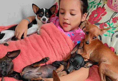 Uma pequena acreana impressionou a web ao reunir cachorrinhos e fazê-los dormir com músicas de ninar e está sendo chamada de 'encantadora de pinscher'. -  (crédito: Reprodução / Instagram)