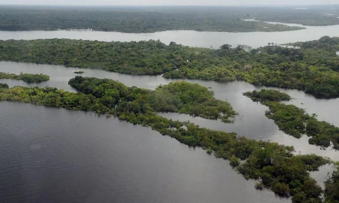 O Brasil é riquíssimo em recursos naturais e tem em seu território o "pulmão do mundo", com a Floresta Amazônica, mas o país sofre com o desmatamento ilegal e o garimpo. -  (crédito: Valter Campanato/Ag. Brasil)