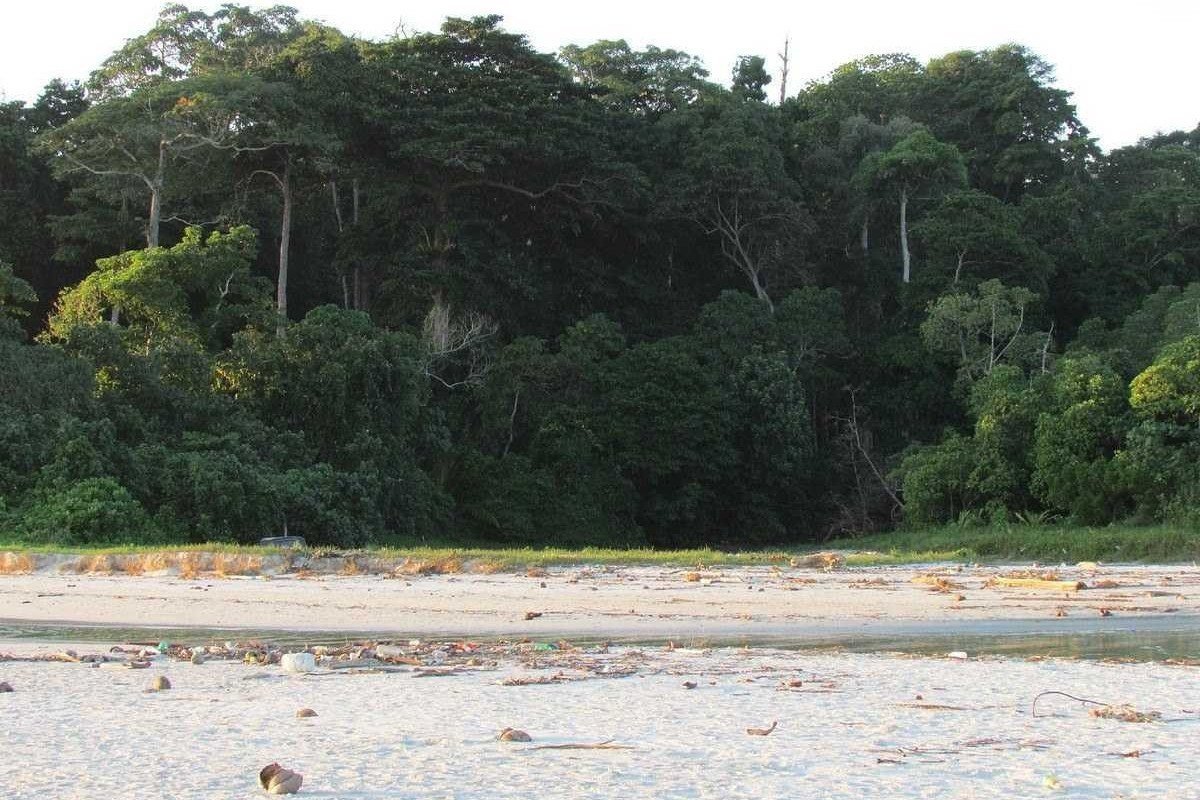 A praia fica localizada na Ilha de Havelock, na Ásia A praia fica localizada na Ilha de Havelock, na Ásia
