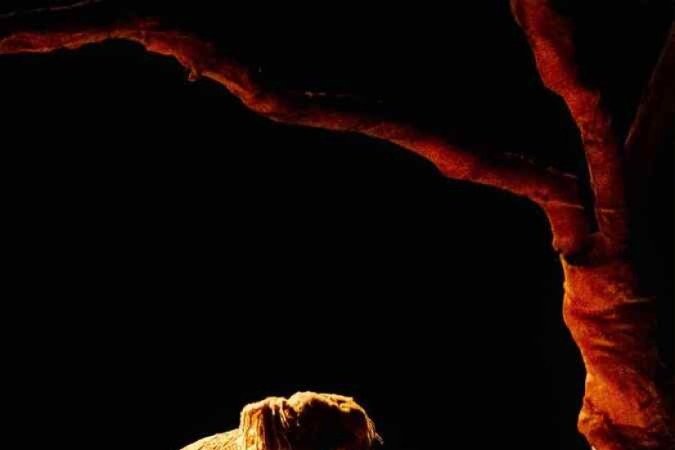 Hoje, Godot Não Vem!, peça dirigida por Leonardo Garcia e em cartaz na Caixa Cultural 