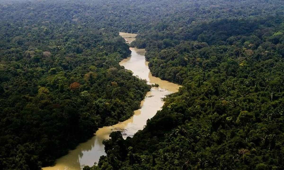 Noruega anuncia o repasse de US$ 50 milhões ao Fundo Amazônia