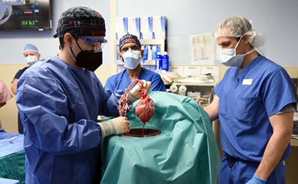 Visão do Correio: Transplante é ato de solidariedade Visão do Correio: Transplante é ato de solidariedade