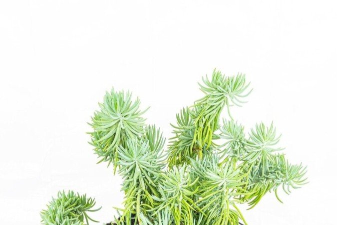 Tomada desmonte, exposição de JP Acacio
