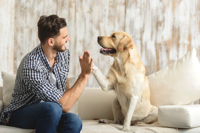 As principais formas de comunicação canina são a corporal, a vocal e a semioquímica (Imagem: Olena Yakobchuk | Shutterstock) -  (crédito: EdiCase)