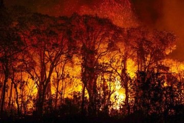 Coordenador do combate ao incêndio florestal que atinge o Pantanal, Heoder Marques (d), acompanhado de fiscais do Ibama, aciona por rádio as equipes em terra sobre o movimento do fogo, durante sobrevoo em um helicóptero da Polícia Federal Rodoviaria (PRF) -  (crédito:  Joédson Alves/Agência Brasil)
