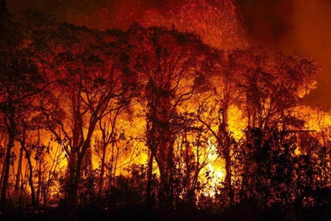 Pantanal: por que chuvas não são suficientes para proteger bioma de fogo recorde