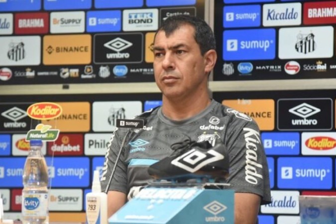 Fábio Carille é o novo técnico do Santos -  (crédito: Foto: Ivan Storti/Santos FC)