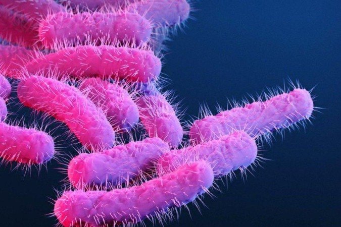 A bactéria shigella é transmitida através do contato com fezes -  (crédito: Getty Images)