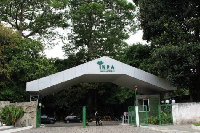 Ao todo, são ofertadas 63 oportunidades, sendo 51 para pesquisador adjunto I e 12 para tecnologista pleno II - (crédito: Reprodução/Inpa) Ao todo, são ofertadas 63 oportunidades, sendo 51 para pesquisador adjunto I e 12 para tecnologista pleno II - (crédito: Reprodução/Inpa)