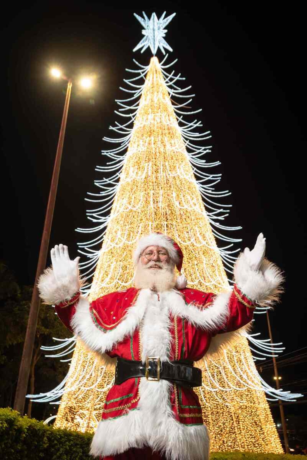 Maiores árvores de Natal do mundo