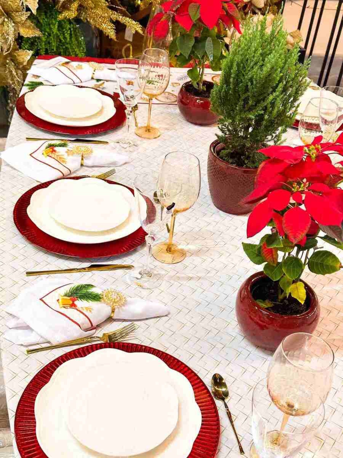 Para incrementar a louça branca, Claudete Gomes usou um suplat vermelho e plantas natalinas da Transplantas