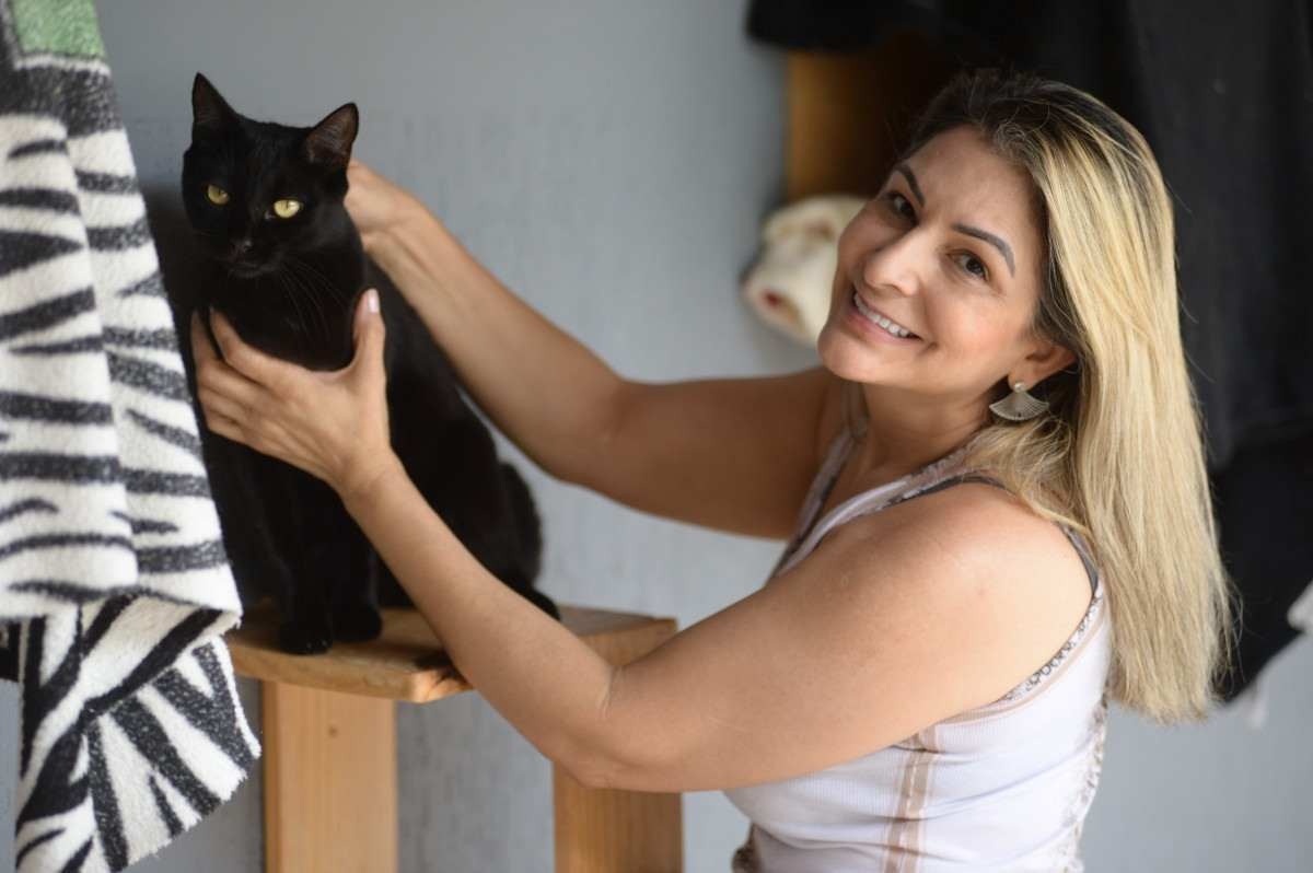 1,5 milhão de gatos e cachorros estão abandonados nas ruas do DF