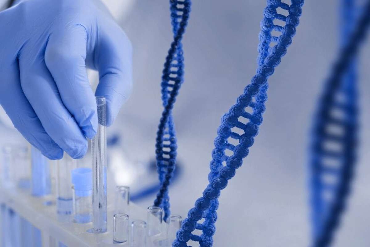 Hospital Albert Einstein cria padrão para identificação de doenças genéticas