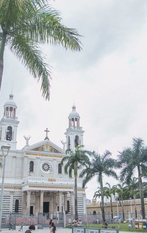 5 atrativos para conhecer em Belém do Pará -  (crédito: Uai Turismo)