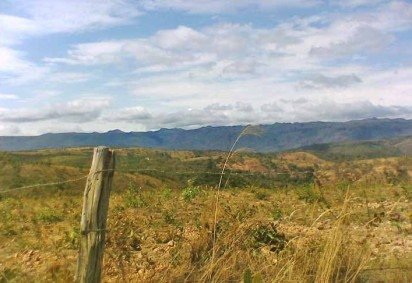 Uma pesquisa do MapBiomas mostrou que o Cerrado é o bioma mais impactado pelo desmatamento para o plantio de soja.  -  (crédito:  Flickr/fabianomatama)