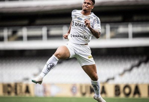 Foto: Raul Baretta/Santos FC