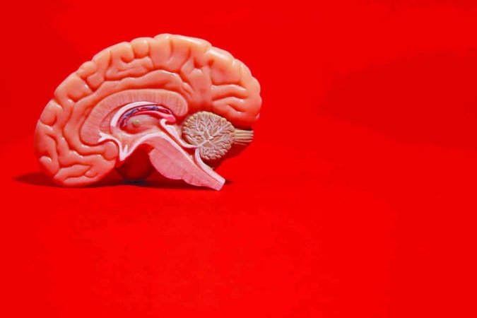 Quantidade de proteína acumulada no cérebro pode influenciar mais do que a idade - (crédito: Image by freepik) Quantidade de proteína acumulada no cérebro pode influenciar mais do que a idade - (crédito: Image by freepik)