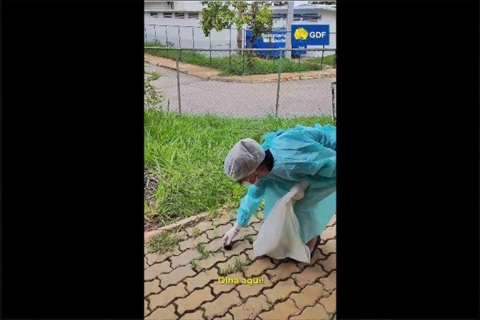 Campanha do GDF contra caramujo -  (crédito: Reprodução/Instagram/@secsaudedf)