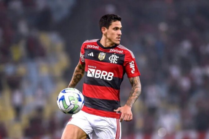 Pedro foi o artilheiro do Flamengo na temporada 2023 -  (crédito: Foto: Marcelo Cortes/Flamengo)