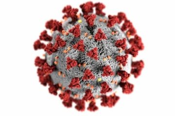 Especialistas apontam existência de ligações entre a herpes-zóster e infecções virais como a Covid-19 Especialista apontam existência entre a herpes-zóster e infecções virais como a Covid-19