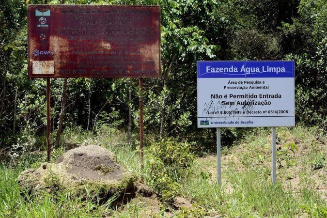  12/01/2024 CrÃ©dito: Marcelo Ferreira/CB/D.A Press. Brasil. BrasÃ­lia - DF -  Fazenda Ãgua Limpa (UnB), sobre a Ãrea de Relevante Interesse EcolÃ³gico que tem na regiÃ£o. EspÃ©cies, pesquisas etc que ocorrem no local.