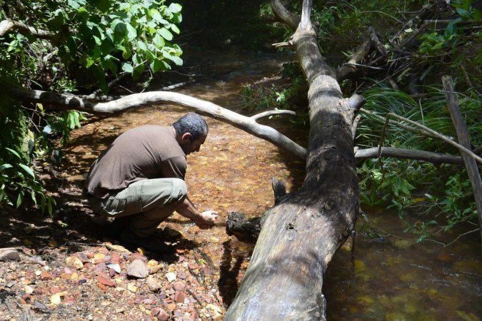  12/01/2024 Crédito: Marcelo Ferreira/CB/D.A Press. Brasil. Brasília - DF -  Fazenda Água Limpa (UnB), sobre a Área de Relevante Interesse Ecológico que tem na região. Espécies, pesquisas etc que ocorrem no local. Biólogo: Ricardo Machado