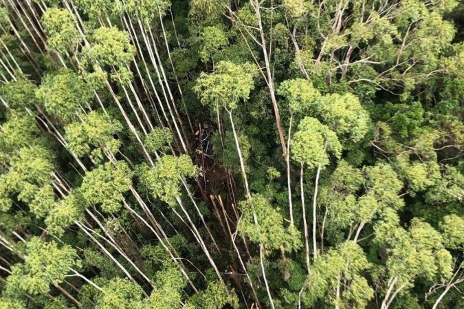 A Polícia Militar encontrou o helicóptero em uma área de mata de Paraibuna (SP)
 -  (crédito: Reprodução/Polícia Militar de São Paulo)