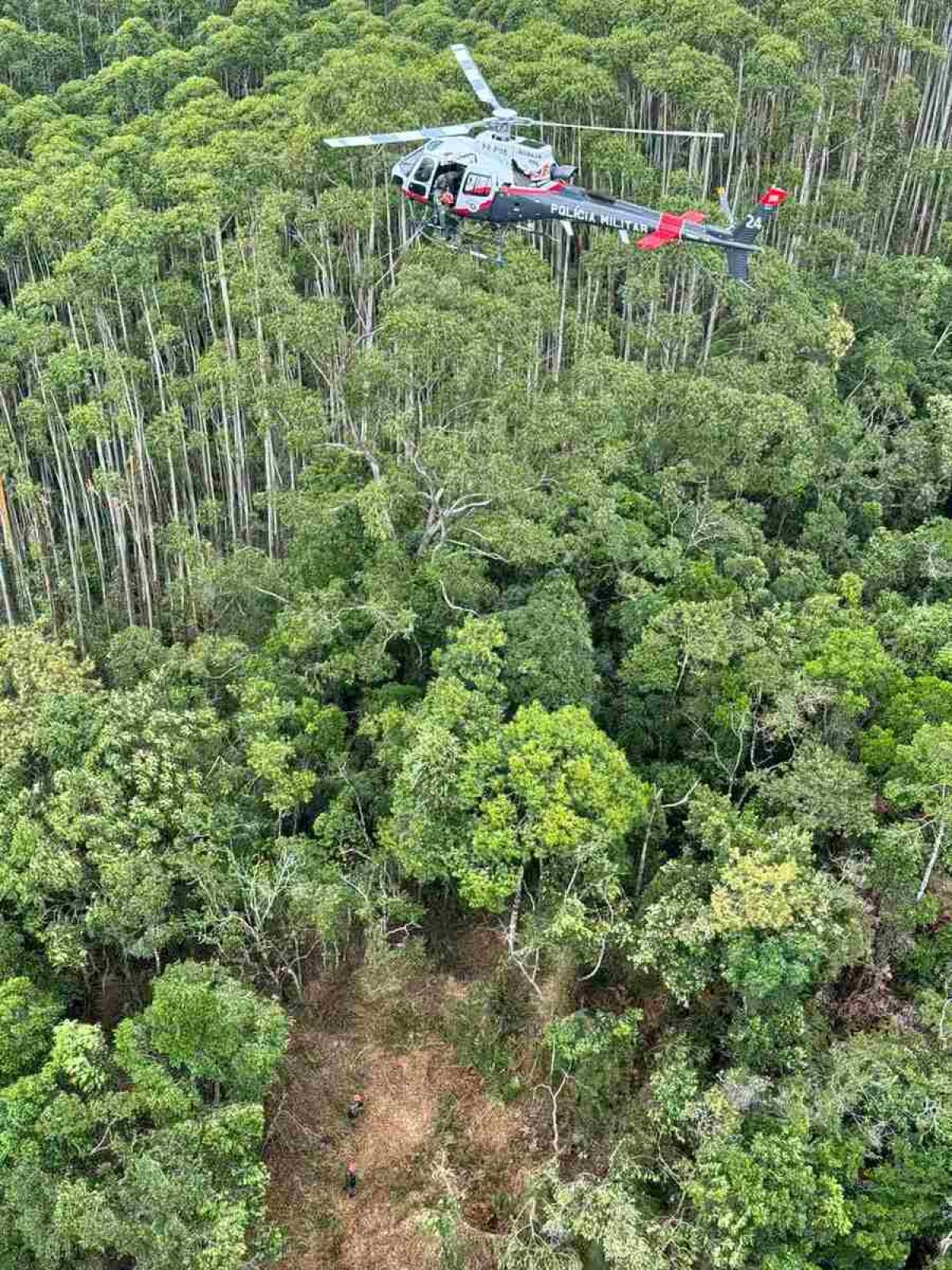 Tripulantes de helicóptero achado em mata estão mortos, diz polícia