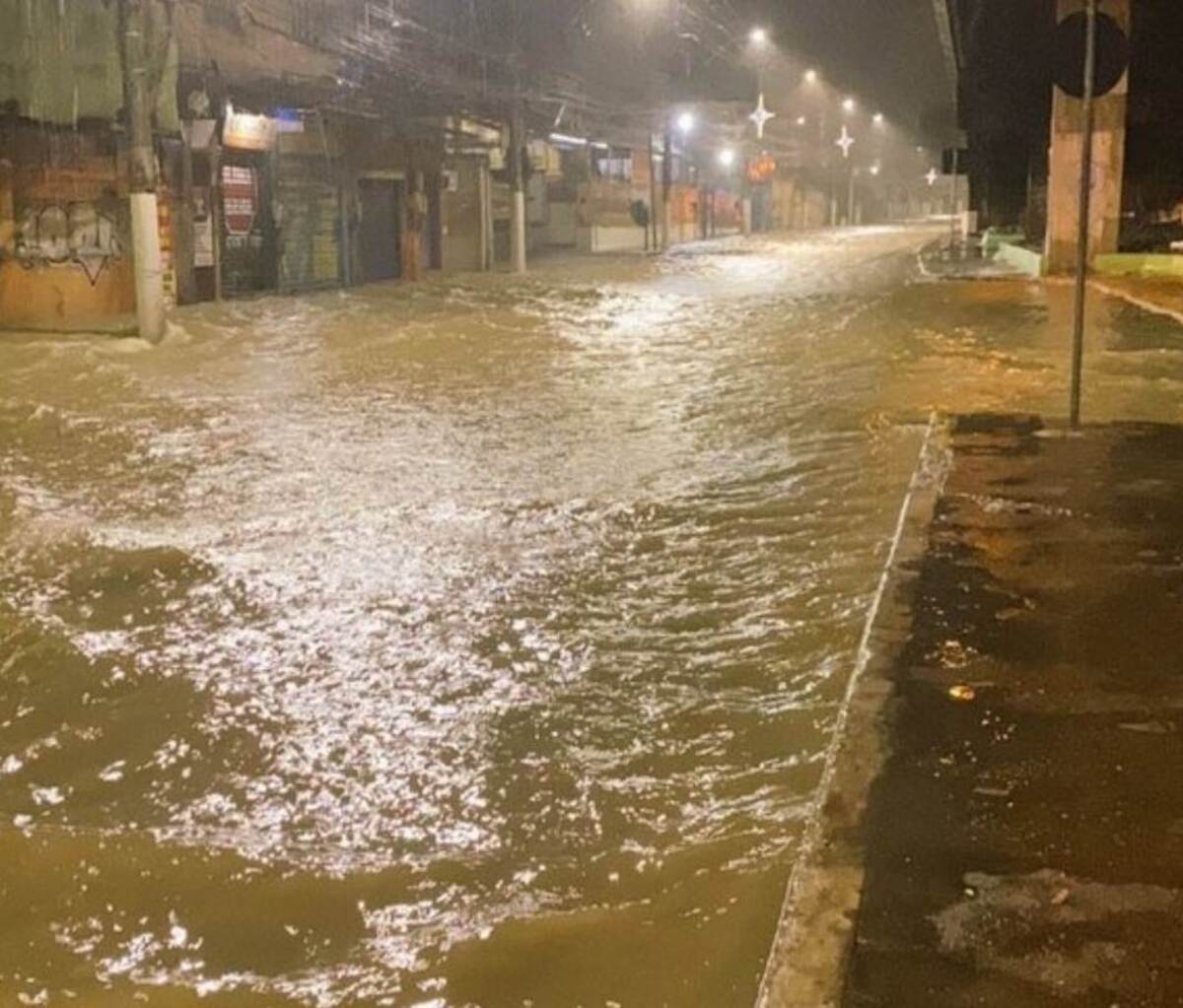 Reprodução/Twitter @AndreiaBizzo