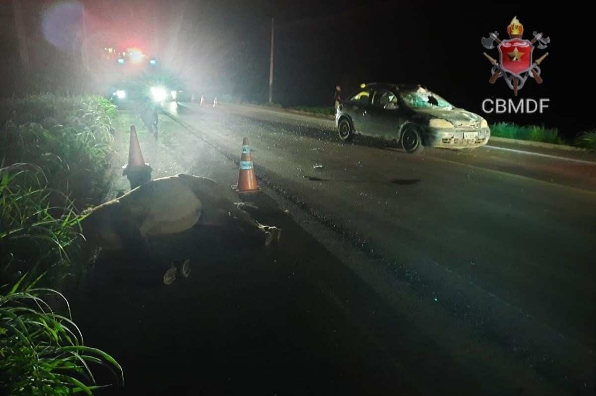 Criança fica ferida após carro atropelar e matar cavalo na rodovia BR-080