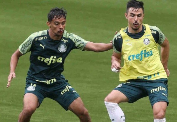 Foto: Cesar Greco/Palmeiras