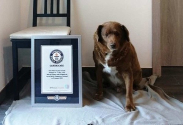 Guinness Book of Records