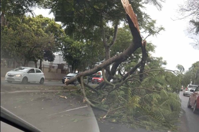 Chuvas causam estragos e forçam município a entrar em estado de emergência  -  (crédito: Reprodução/X/@ManfroiRenato)