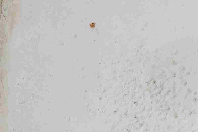 As sandálias papetes aparecem 
em destaque no mundo da moda.
Elas podem ser usadas com vestidos, calças ou calçados e alguns modelos contam com amarrações que podem envolver o tornozelo, dando mais elementos na composição do look 
