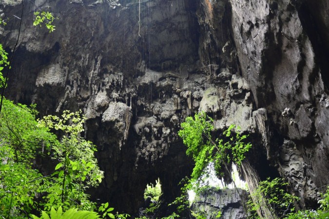 A Caverna Termimina é um dos tesouros encontrados no Parque Estadual do Alto Ribeira, em Iporanga, no Vale do Ribeira (Imagem: itinerariodeviagem | Shutterstock) -  (crédito: Edicase - entretenimento -> Diversão e arte)