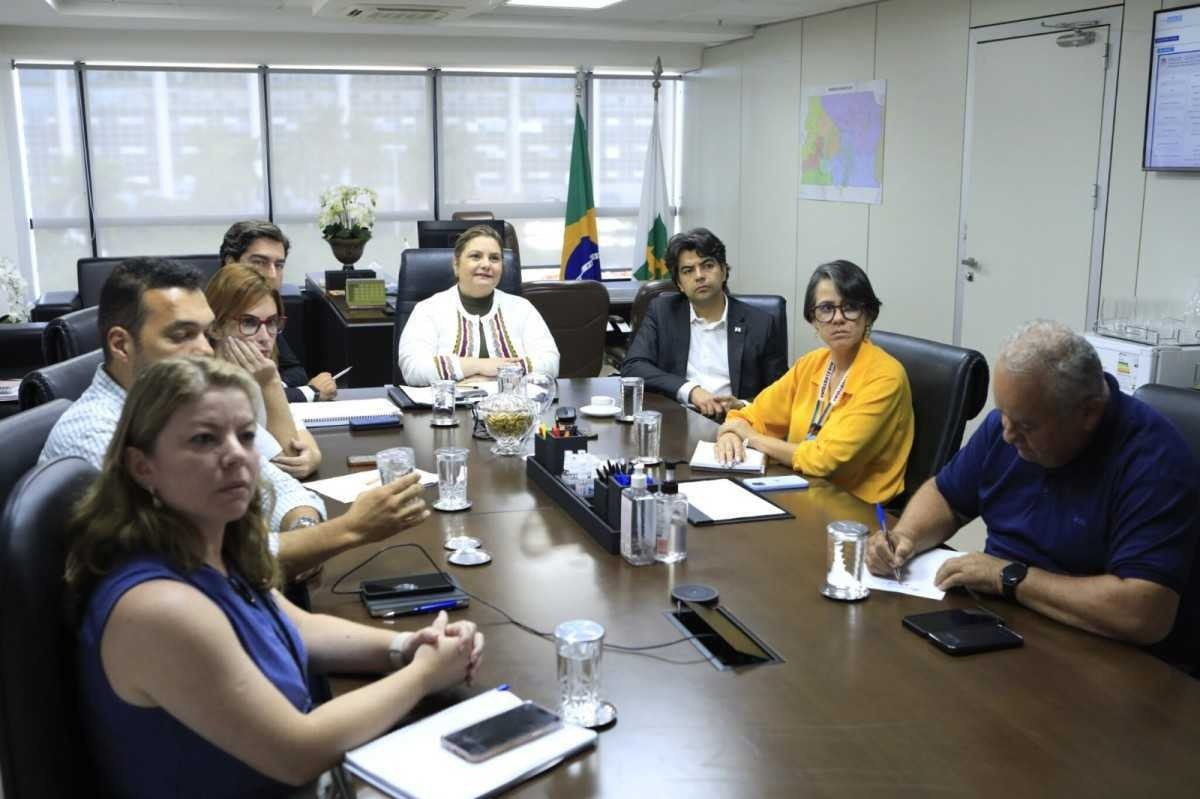 Secretarias de saúde do DF e Goiás discutem medidas para o combate a dengue
