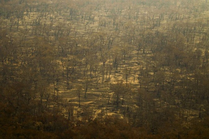 Queimada no Pantanal, que foi o segundo bioma mais atingido pelas chamas em 2023. Um aumento de 300% somente em dezembro passado -  (crédito: Joédson Alves/Agência Brasil)