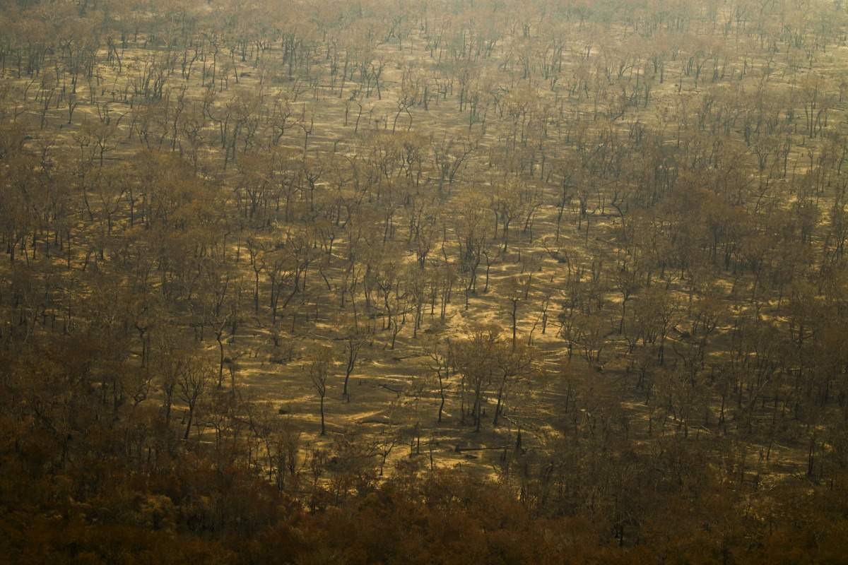 Mais de 17 milhões de hectares foram queimados em 2023, mostra levantamento
