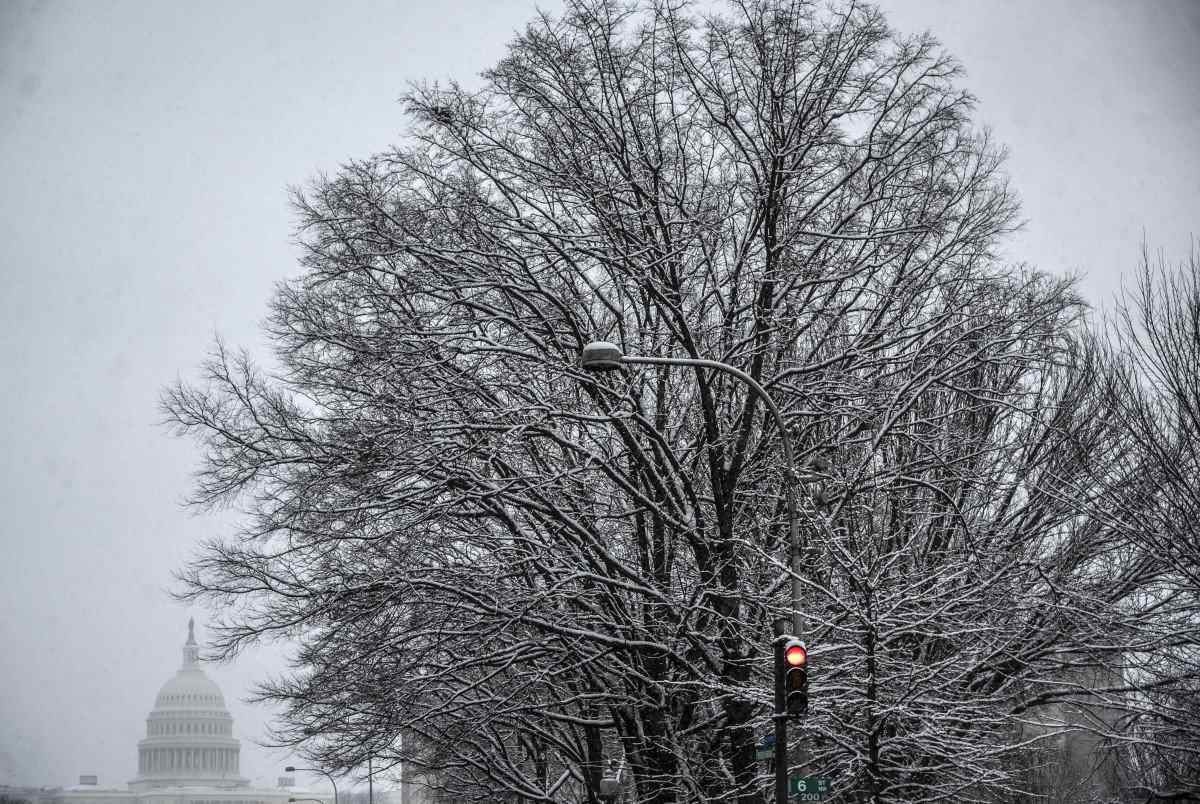 O Capitólio dos EUA é visto além das árvores cobertas de neve em Washington, DC, em 19 de janeiro de 2024