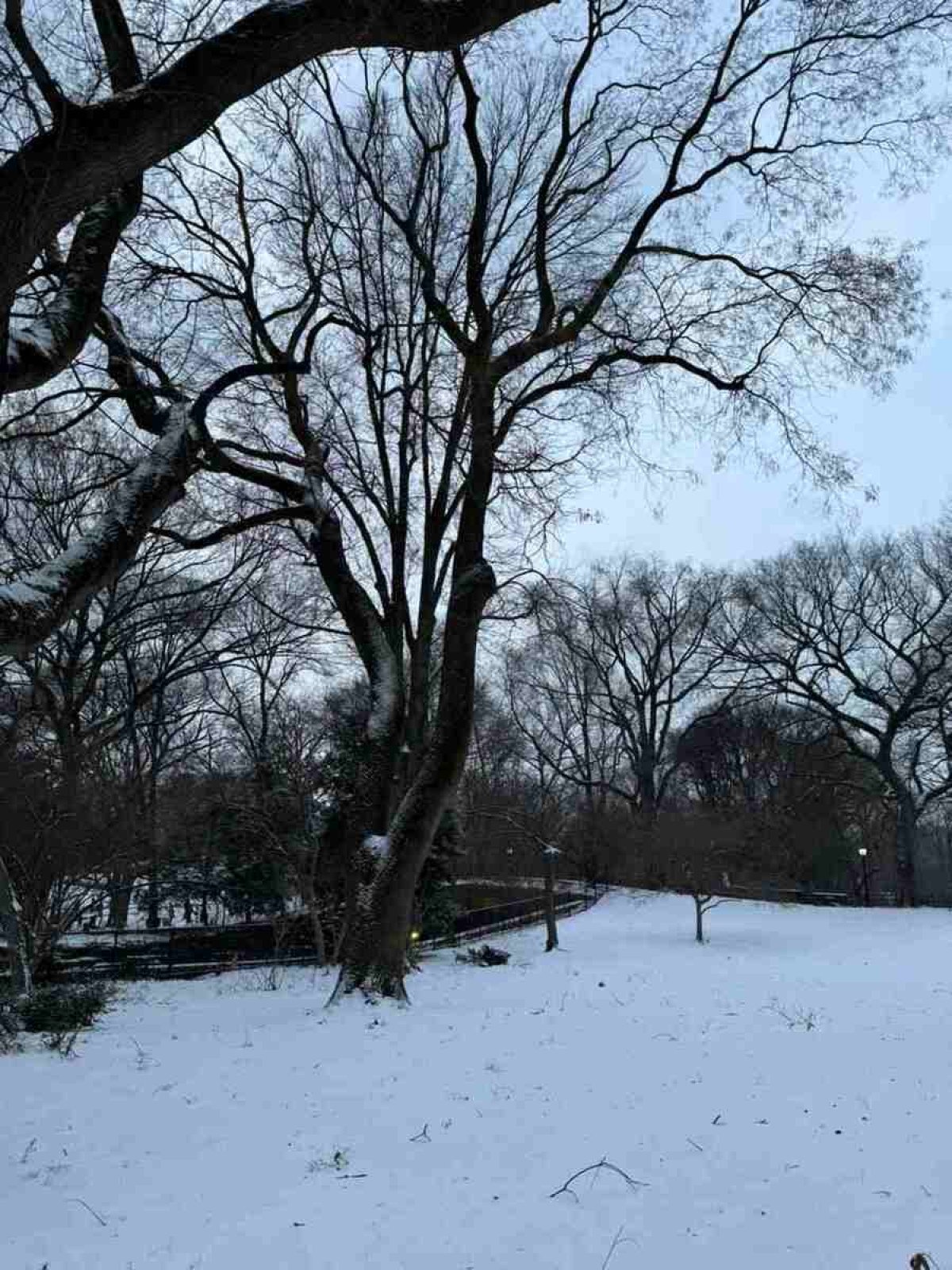 Tempestade de Neve encobre o Central Park em Nova York