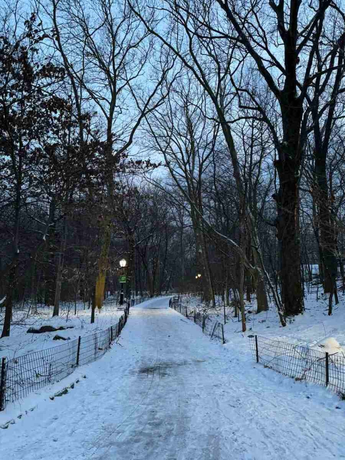 Tempestade de Neve encobre o Central Park em Nova York