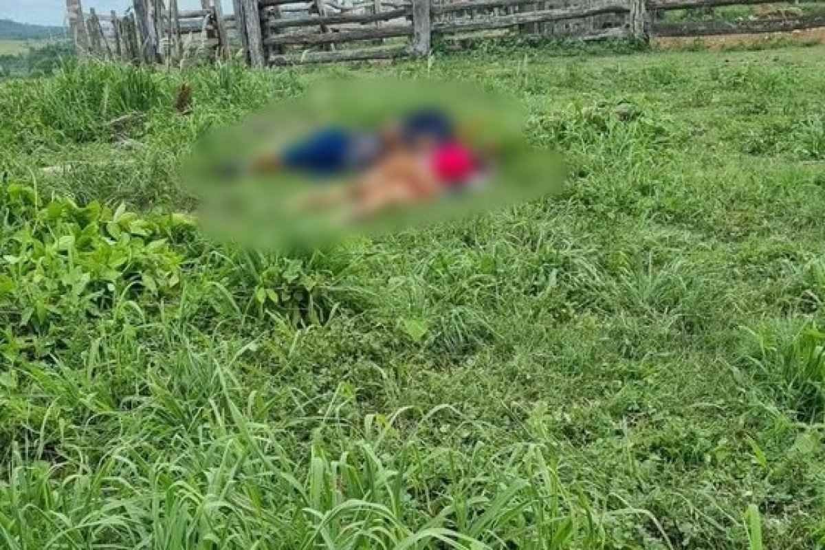 Indígena do povo Pataxó Hã Hã Hãe é assassinada no sul da Bahia