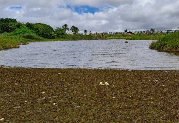 Material cedido ao Correio