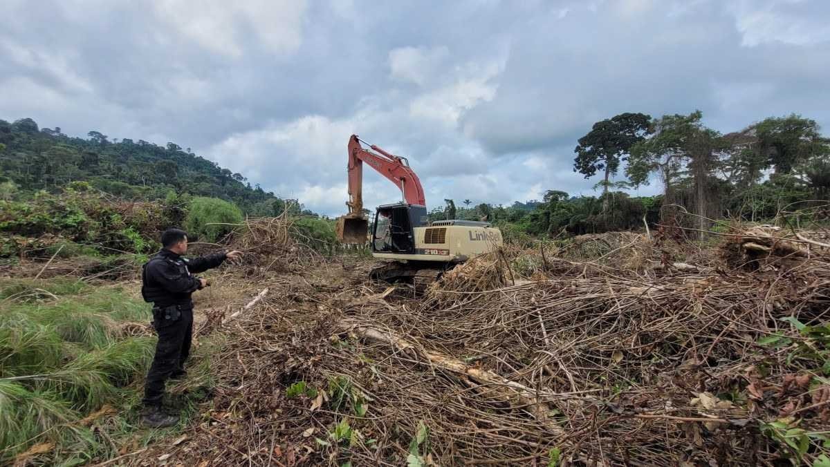 Vídeo: PF destrói escavadeiras e veículos de garimpeiros ilegais no Pará