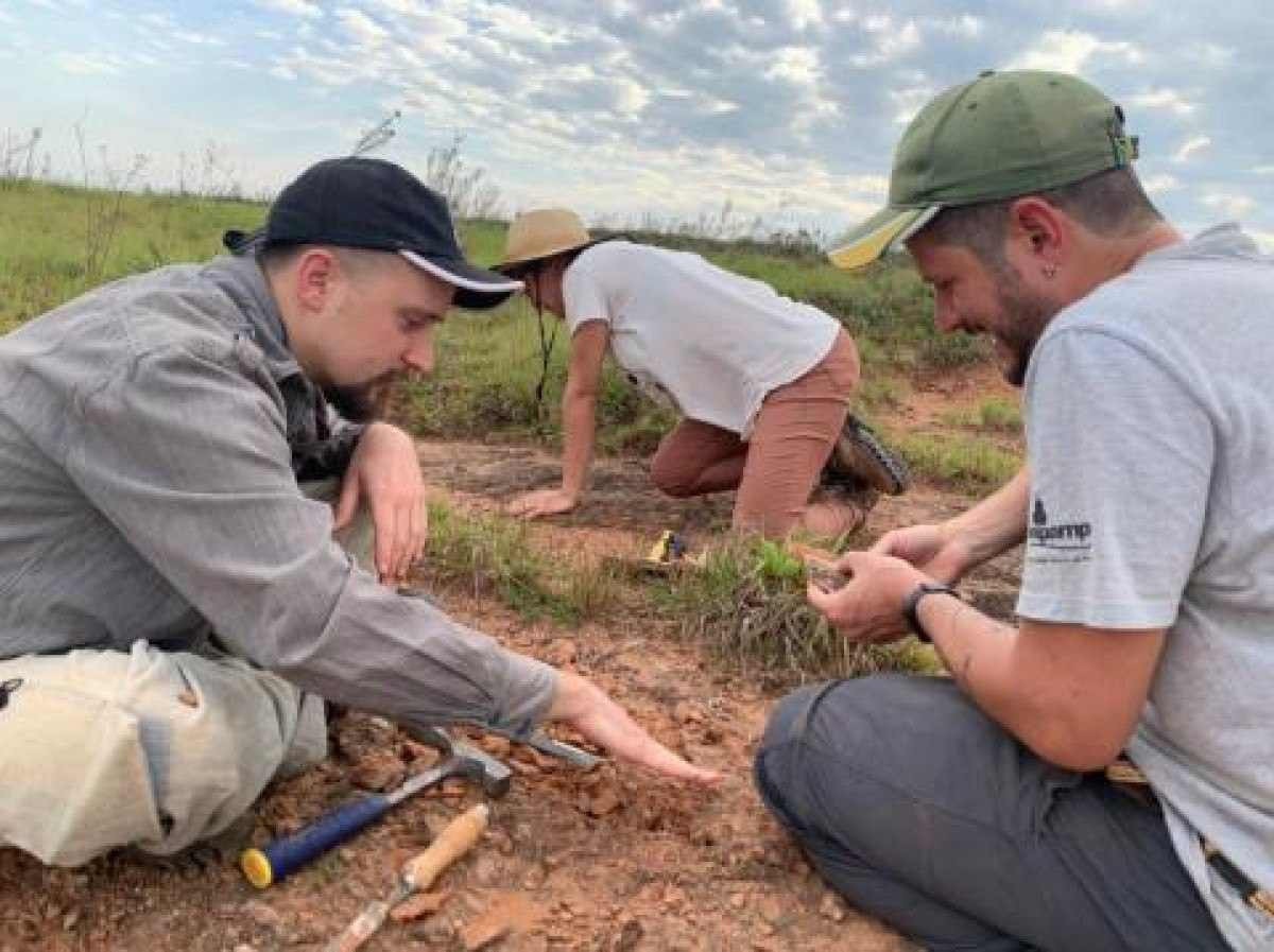 Crânio de anfíbio gigante é encontrado por pesquisadores do Rio Grande do Sul