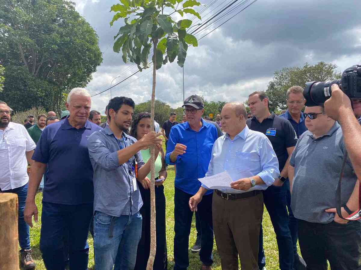 Governador Ibaneis Rocha participa do plantio de 3 mil de árvores nativas do Cerrado no Parque da Cidade -  (crédito: Giulia Luchetta)