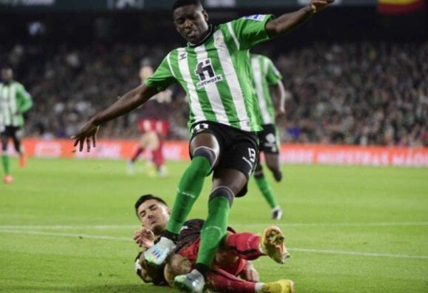  Foto: Cristina Quicler/AFP via Getty Images