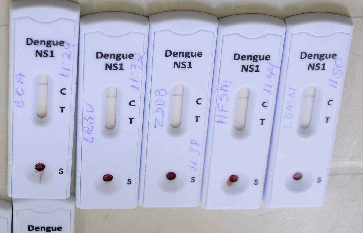 Casos de dengue no DF em 2024 superam a população do Lago Sul