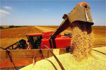 Medida voltada para produtores agrícolas prevê juros de 5% a 12% ao ano. Expectativa de autoridades é de renegociar até R$ 100 bilhões - (crédito: Reprodução/Portal Gov.br ) Medida voltada para produtores agrícolas prevê juros de 5% a 12% ao ano. Expectativa de autoridades é de renegociar até R$ 100 bilhões - (crédito: Reprodução/Portal Gov.br )