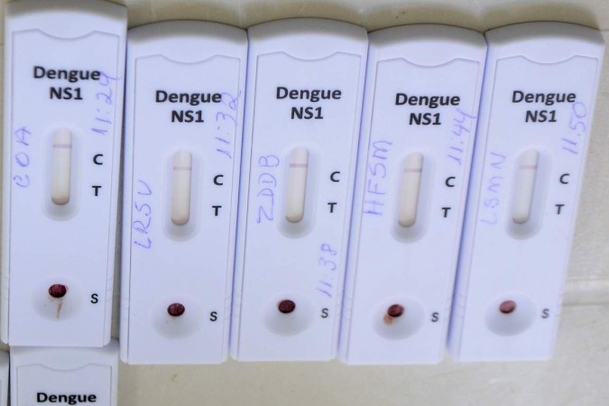 DF tem registro de sete mortes em decorrência da dengue em 2024 -  (crédito:  Marcelo Ferreira/CB/D.A Press)